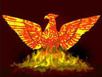 Phoenix Women Image-large